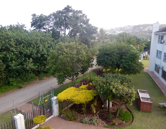 Sub-tropical gardens through the complex